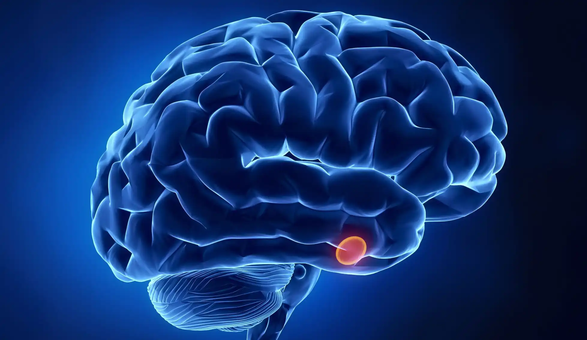 Pituitary gland diseases treatment
