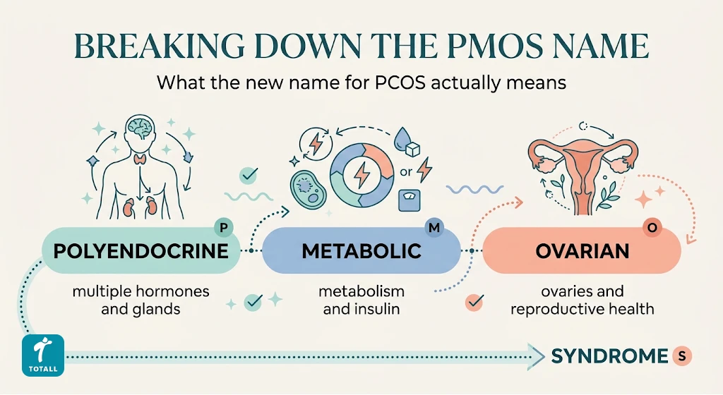 Diagram breaking down the three parts of the PMOS name