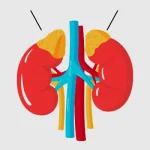 Adrenal-Gland-Diseases