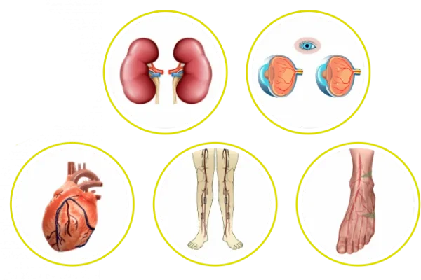 best diabetes body checkup at totall indore