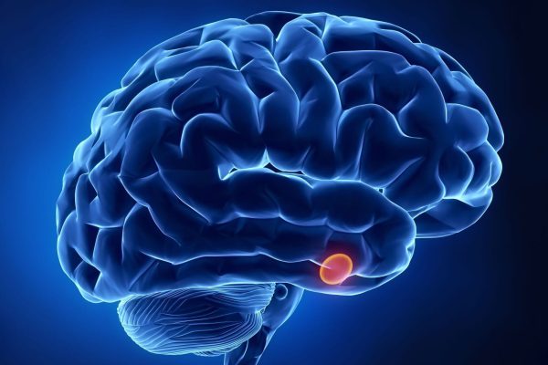 pituitary GLAND DISEASES (1)